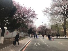 -吉林大学(南岭校区)