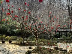 -南山风景名胜区
