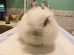 -雨林宠物医院 非犬猫异宠专科
