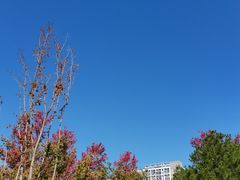 -回龙观体育文化公园