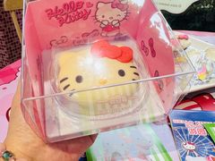-安吉Hello Kitty乐园