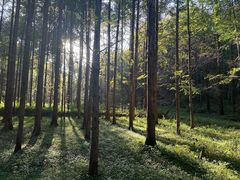 -小格里自然风景区