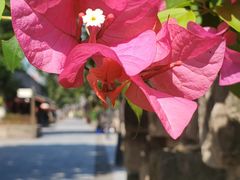 -木洞河街