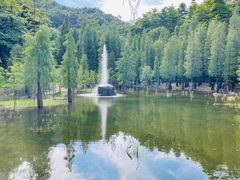-广州市帽峰山景区
