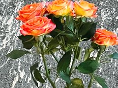 -Laures·月桂西班牙碳烤餐厅(十尚坊店)