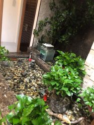 -至爱至信新中式SPA疗愈会所