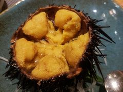 海胆-大将料理餐厅(汇锦街店)