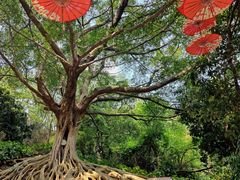 -三水森林公园孔圣园