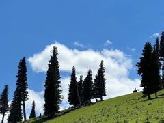 -新疆那拉提国家旅游度假区