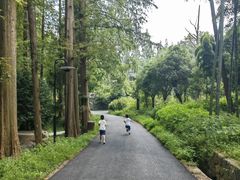 -东明山森林公园