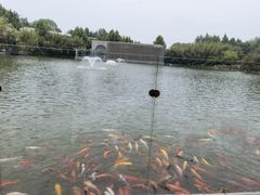 -春晖园度假酒店温泉