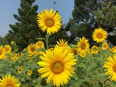-福建鲤鱼洲酒店