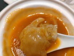 鲍汁炒鱼翅-祥记餐饮•豫粤珍味(金隅大厦店)