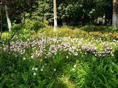 -上海市保健医疗中心