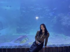 -左海海底世界