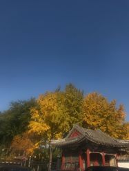 点击看大图 -首都儿科研究所附属儿童医院