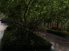 -郑州方特梦幻王国