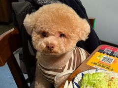 -满满初牛·炭烧牛肉专门店(国大店)
