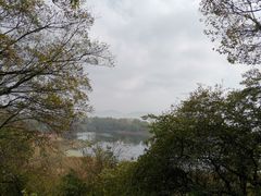 -上海市保健医疗中心