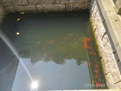 -乌山风景区