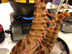 -鲜入围煮花胶鸡海鲜火锅