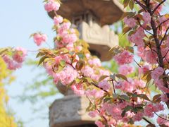 -寒山寺