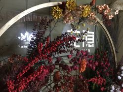点击看大图 -花隐瑜伽·普拉提·红绳