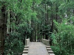 -同里国家湿地公园