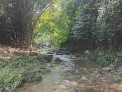 -南海湾森林生态园