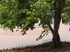 -枫叶小镇奥特莱斯
