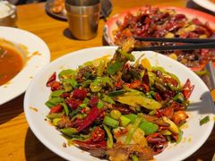 -柴窝堡22号辣子鸡·传承新疆菜