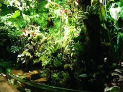 -太平洋海底世界