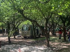 -尚庄度假村·庭台树下·户外烧烤·团建CS·轰趴营地(上庄水库店)