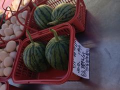 -大自然农场蔬菜草莓采摘园