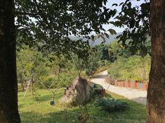 -田心森林公园