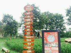-秀丽东方