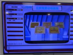 -北京观赏动物医院·24小时大型综合·猫专科·异宠专科