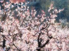 -大泽山风景名胜区