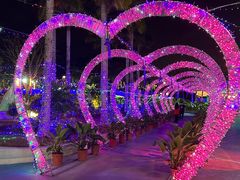 -三亚红色娘子军演艺公园景区