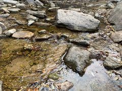 -黑龙潭风景区