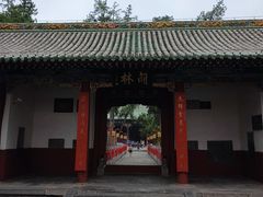 -关林