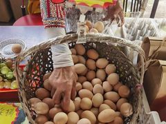 -马陆小张葡萄园农家乐