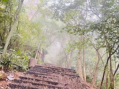 -紫金山山顶公园