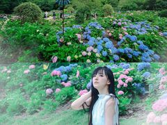 -共青国家森林公园-售票处