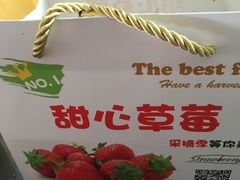 -甜心庄园·甜心草莓采摘园(西青中北店)