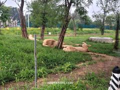 -秦皇岛野生动物园