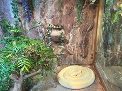 -上海大自然野生昆虫馆