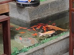 -惠中捞面