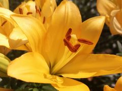 -长春公园(普阳街道)