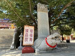 -龙口南山旅游景区
